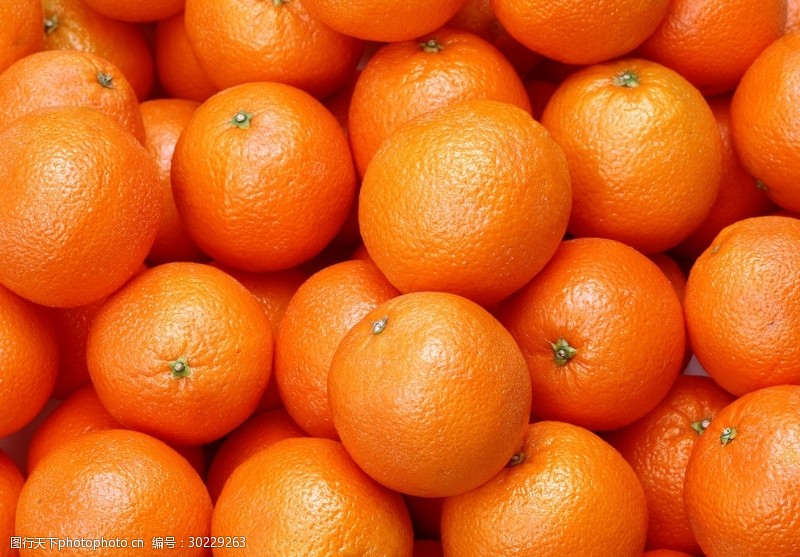 橙子切片素材橘子满铺背景