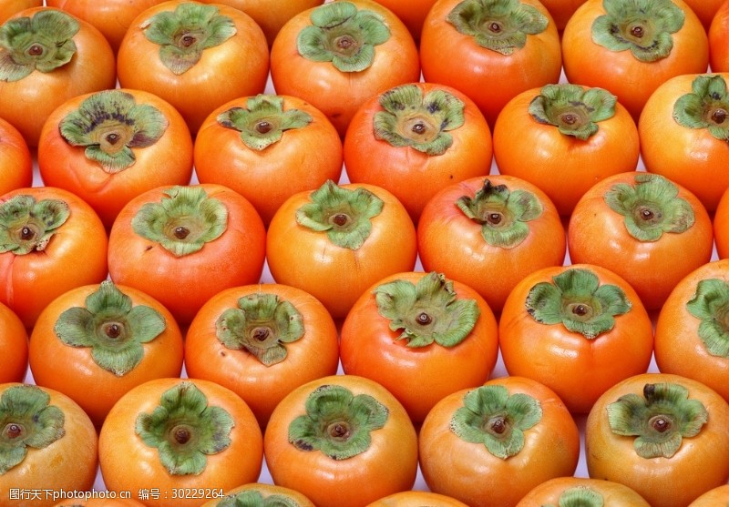 橙子切片素材柿子满铺背景