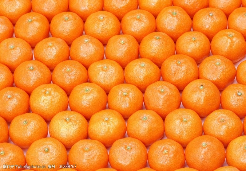 橙子切片素材香橙满铺背景