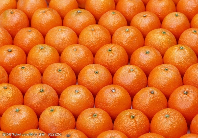 橙子切片素材橙子满铺背景