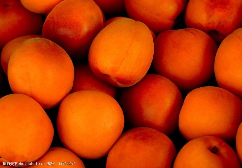 垂枝杏杏