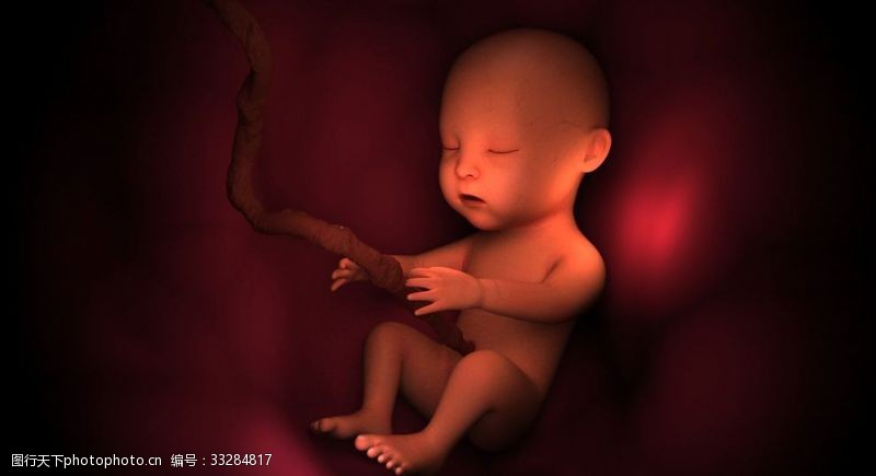 医院海报子宫婴儿3D模型