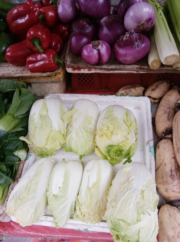 蔬菜种类蔬菜