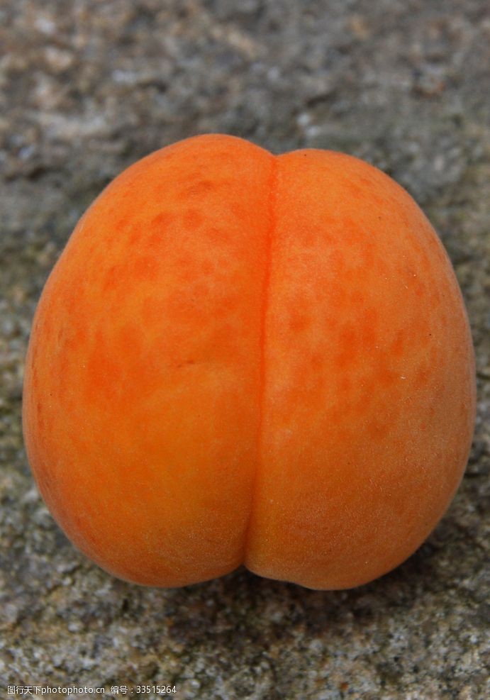 垂枝杏杏