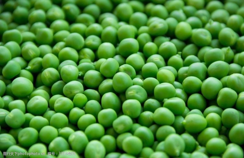 绿色蔬菜展架素材青豆