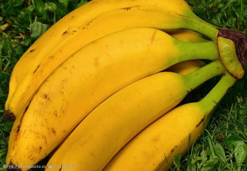 新鲜水果素材香蕉