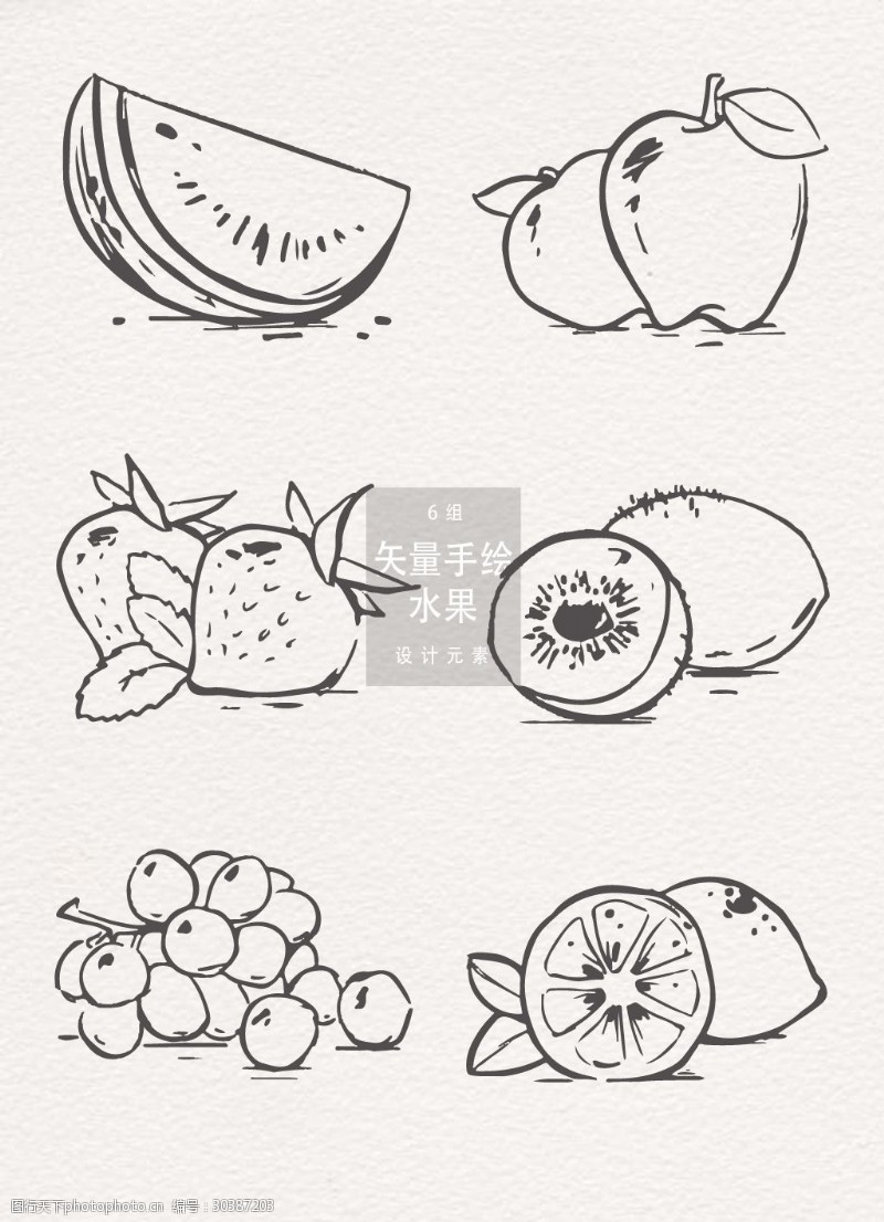 手绘食物手绘水果矢量插画