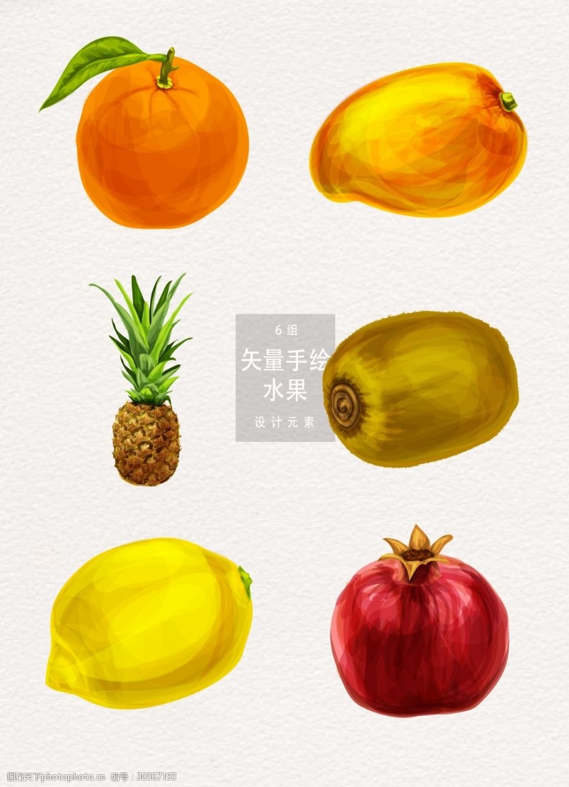 手绘食物手绘水果矢量素材插画