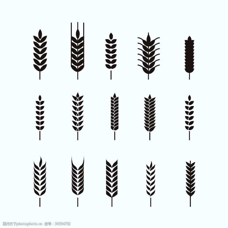 手绘食物15款黑色小麦合集插画设计