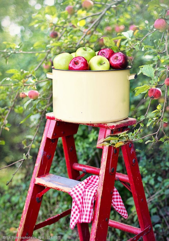 水果壁纸苹果树