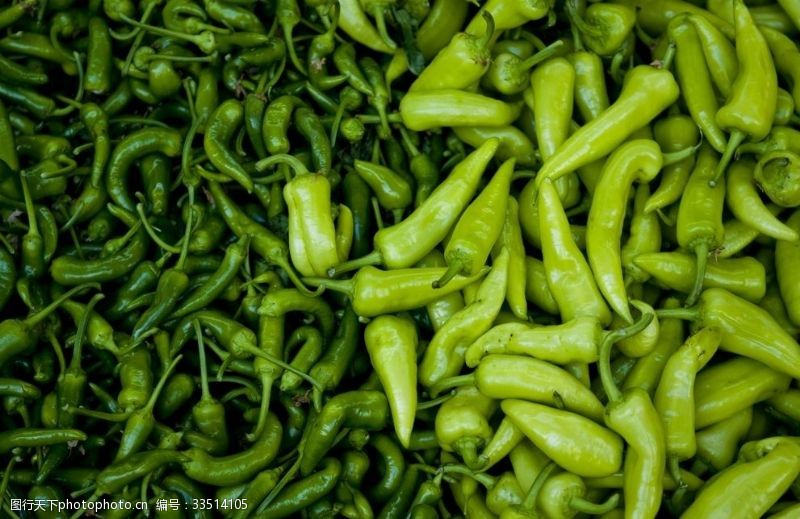 绿色蔬菜展架素材青椒