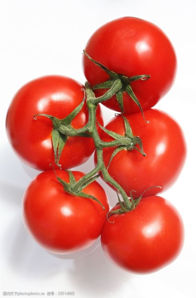 绿色蔬菜展架素材西红柿