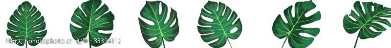 手绘卡通棕榈树手绘噪点绿叶元素龟背竹叶子装饰