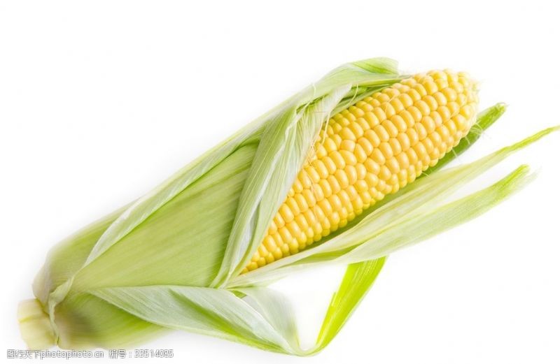 绿色蔬菜展架素材玉米