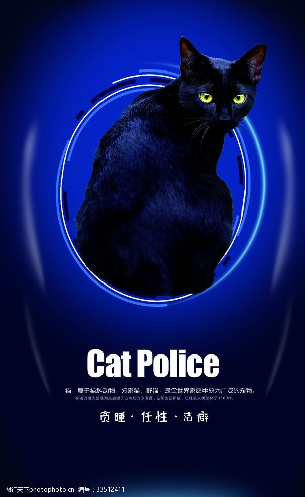 宠物店海报黑猫