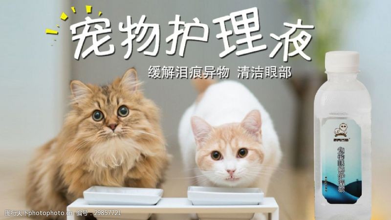 宠物海报宠物猫护理液促销海报