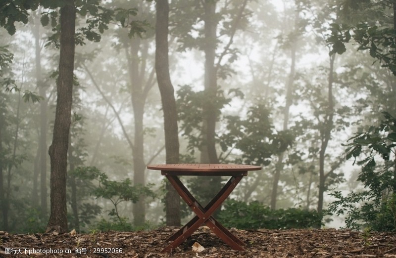 生态家园树林里的桌子