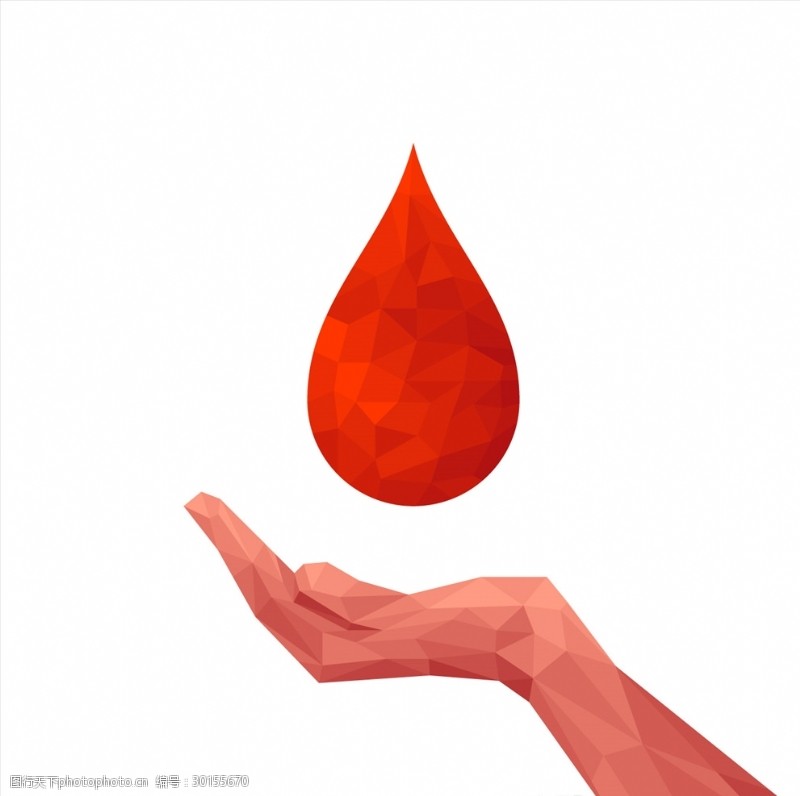 献血知识献血