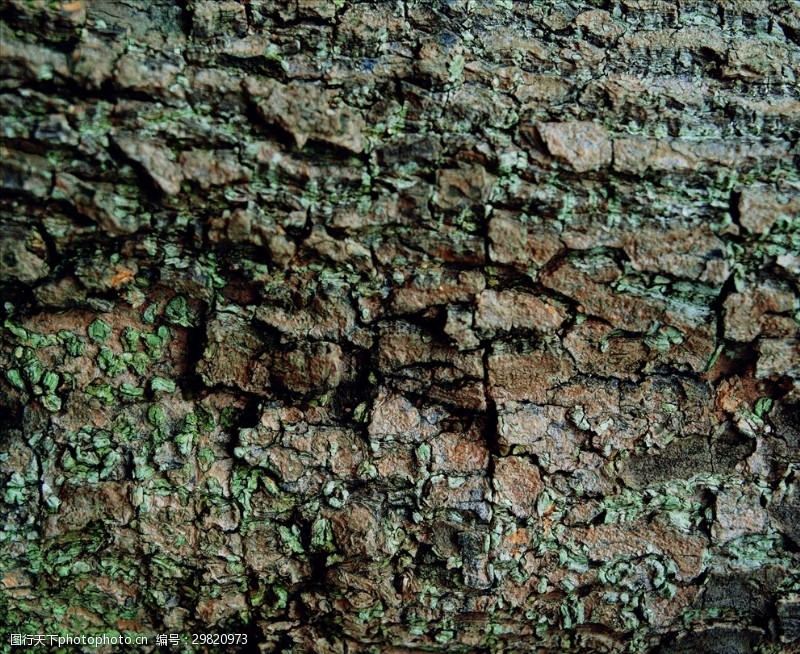 裂痕素材自然材质树皮