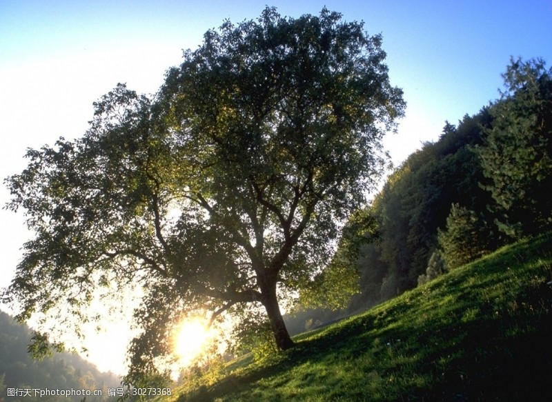 美丽湖泊景色自然风光图片唯美风景