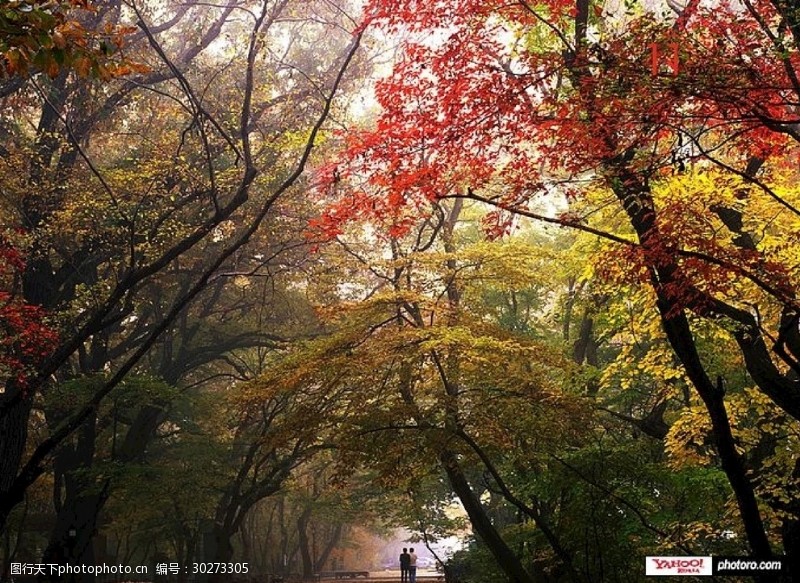 美丽湖泊景色自然风光图片湖泊山水