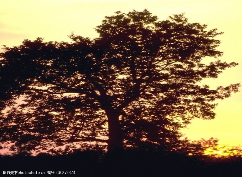 美丽湖泊景色自然风光图片唯美风景