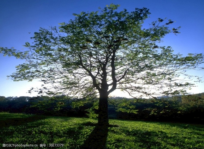 美丽湖泊景色自然风光图片唯美风景