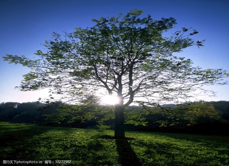 美丽湖泊景色自然风光图片唯美风景