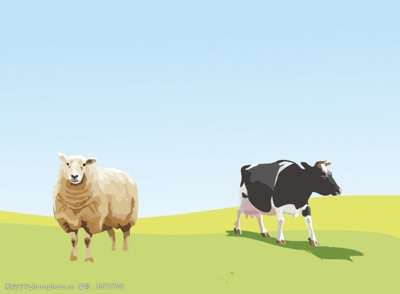 卡通母牛手绘牛羊