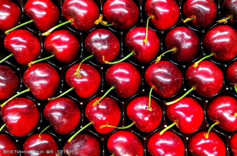 油梨唯美水果壁纸水果摄影