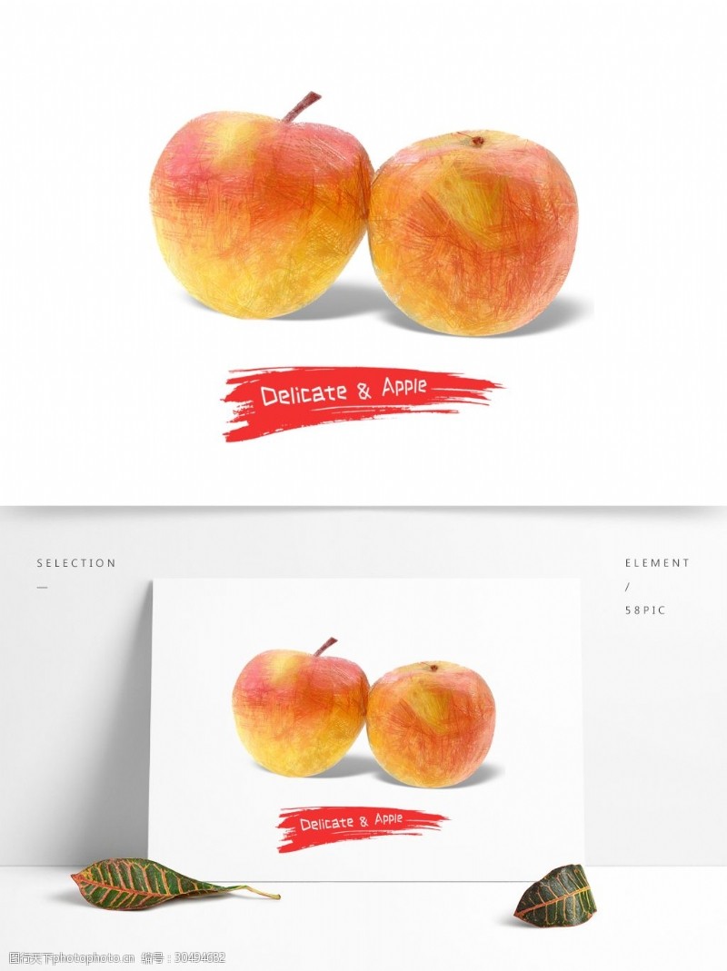 新颖展板线圈印象手绘苹果原创商用