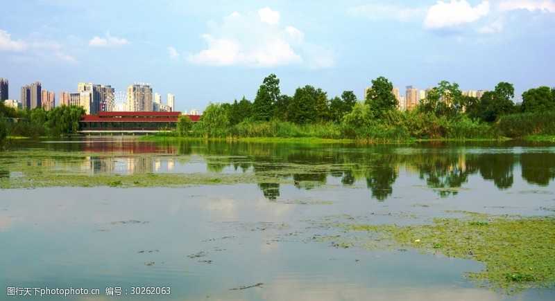 城市湿地水景