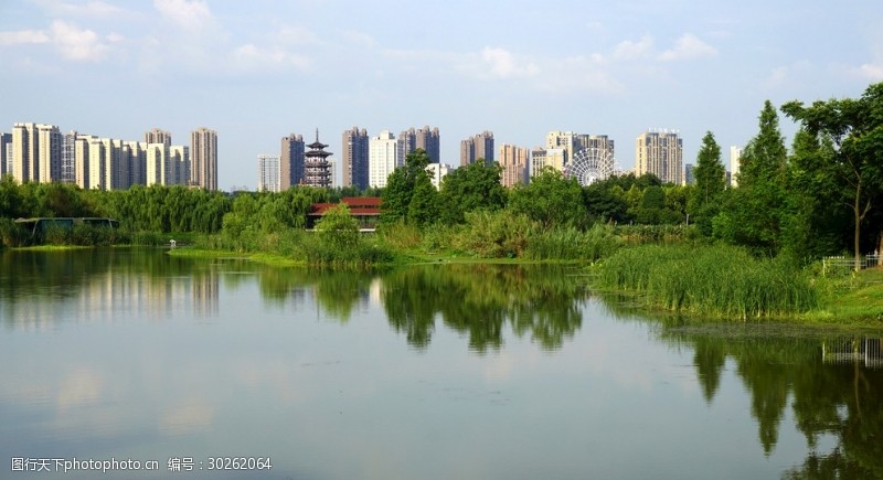 城市湿地水景