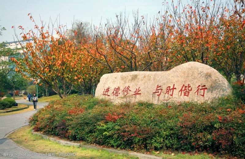 浙江财经大学摄影校园风景