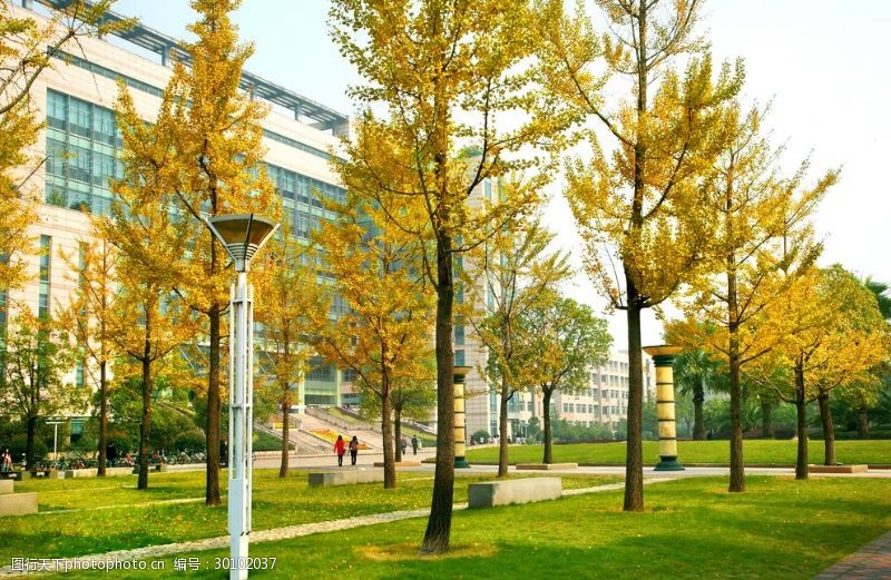 浙江财经大学摄影校园风景