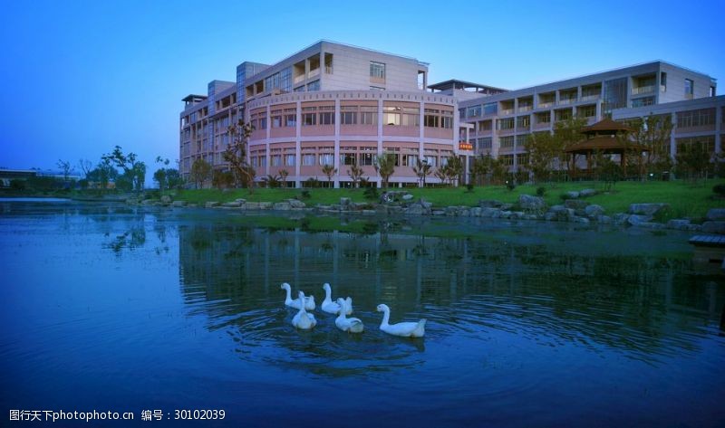 浙江财经大学摄影校园风景