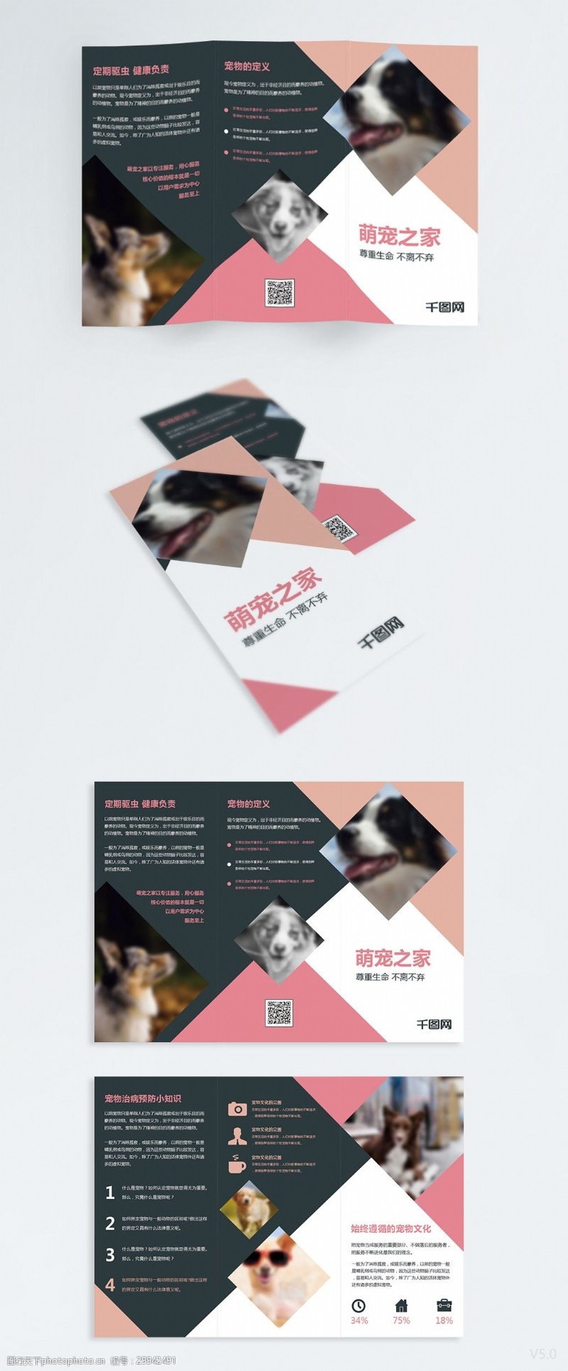 宠物宣传单宠物之家萌宠中心猫狗三折页宣传手册