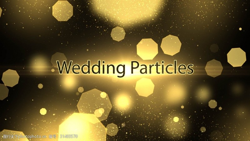 金色光斑华丽的金色粒子光斑婚礼主题内容展示模板
