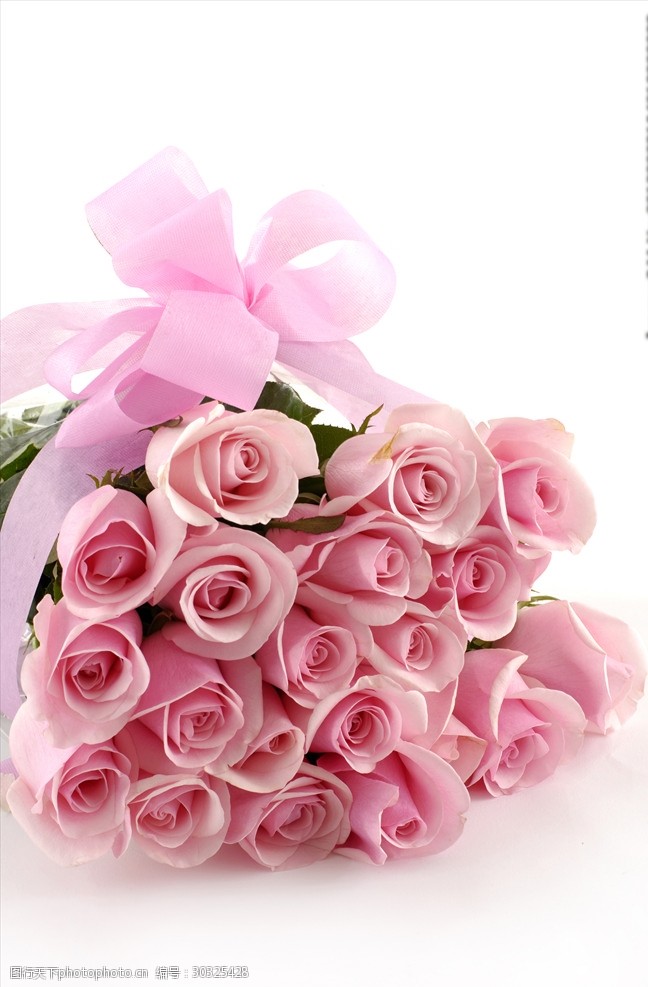 粉色玫瑰花束一束粉色的玫瑰花