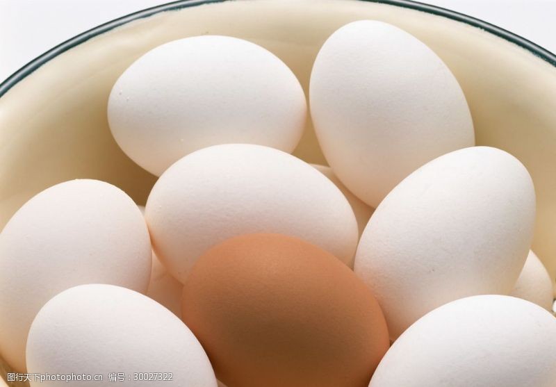 送鸡蛋新鲜蛋类