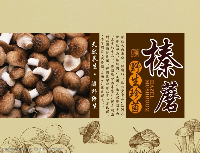 香菇特产干锅茶树菇特色干锅茶树菇