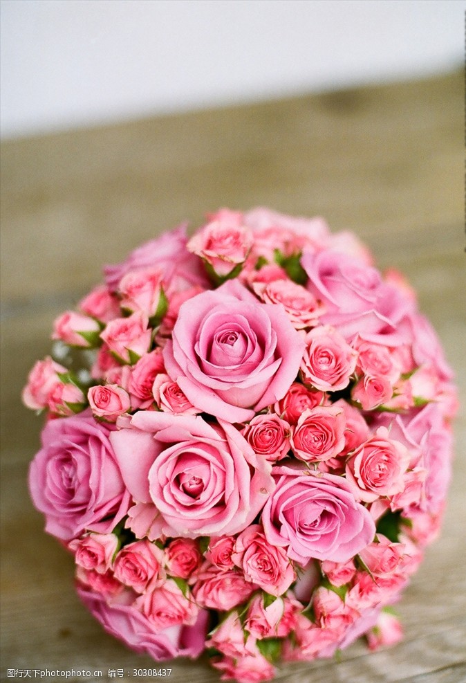 粉色玫瑰花束玫瑰花